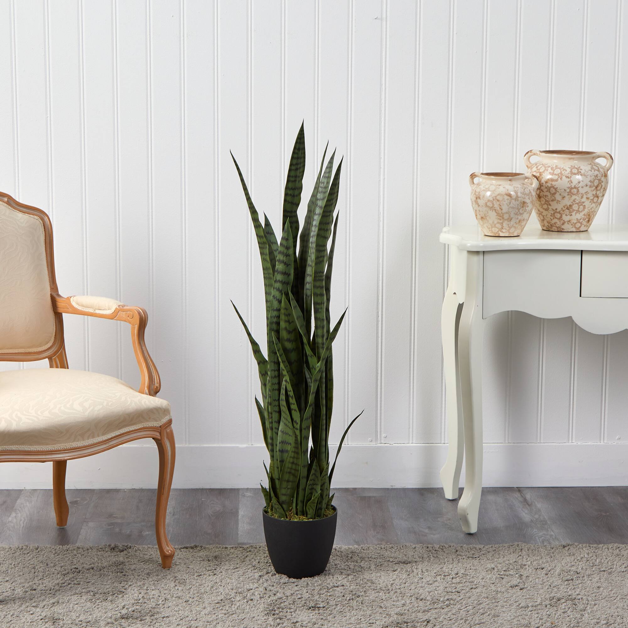 3.5ft. Potted Snake Plant